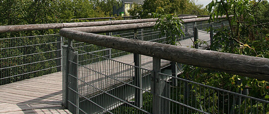 Brücke mit Geländer durch Baumwipfel.