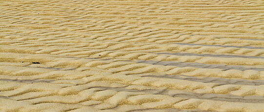 Sand dune with regular pattern.
