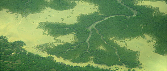 Luftbild von einem Fluss mit Ausläufern.
