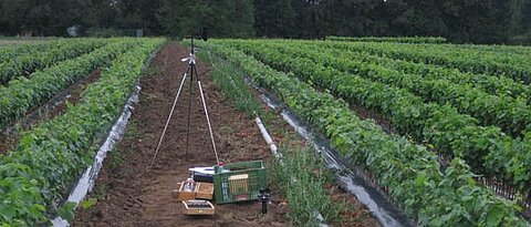 Cultivated field with measuring instruments in the middle.