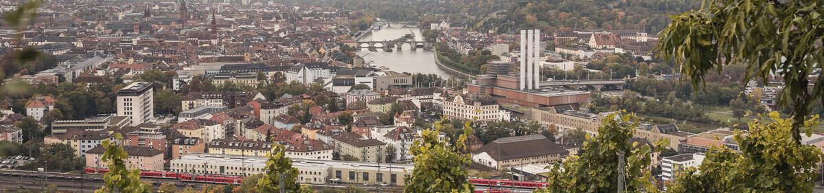 Panorama von Würzburg