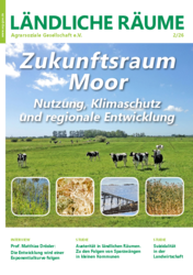 Kühe auf der Weide