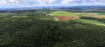 Luftbild einer Landschaft im fränkischen Maintal
