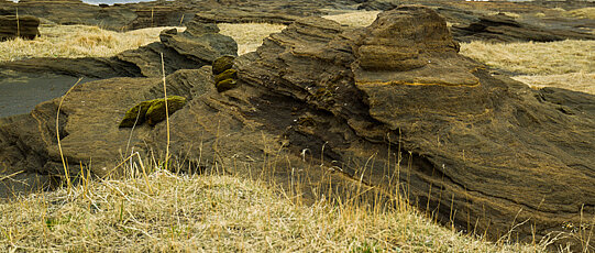 Boulders on a dry, yellow meadow.